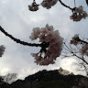 Meet your Posher, Audrey